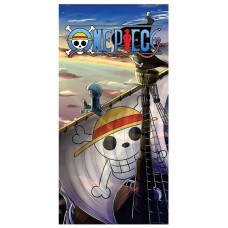 One Piece Backdrop