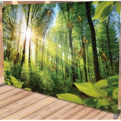 Fabric "Forest and Butterflies" Backdrop (4,10 x 2,30 meters)"